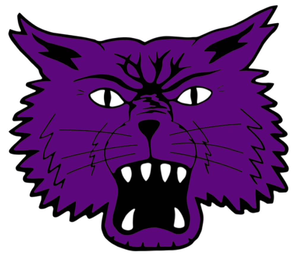 Muncie Central