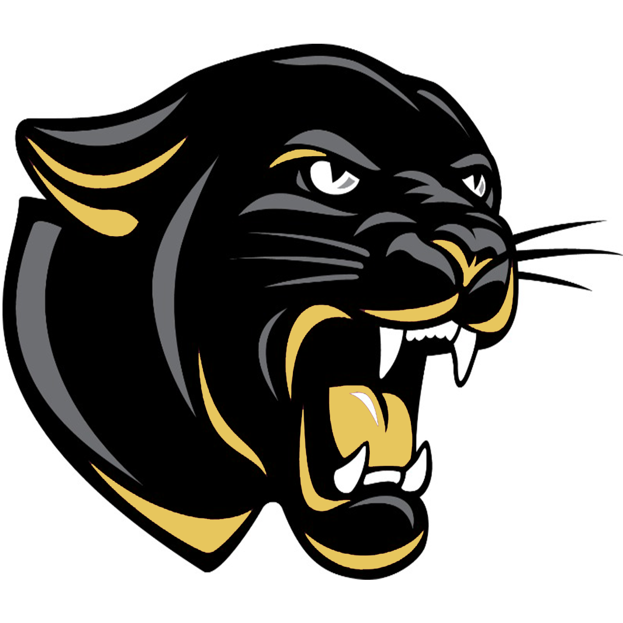 Corydon Central