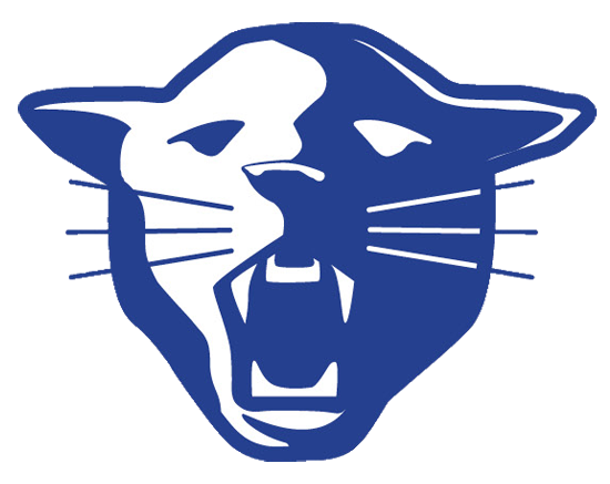 Indianapolis Metropolitan