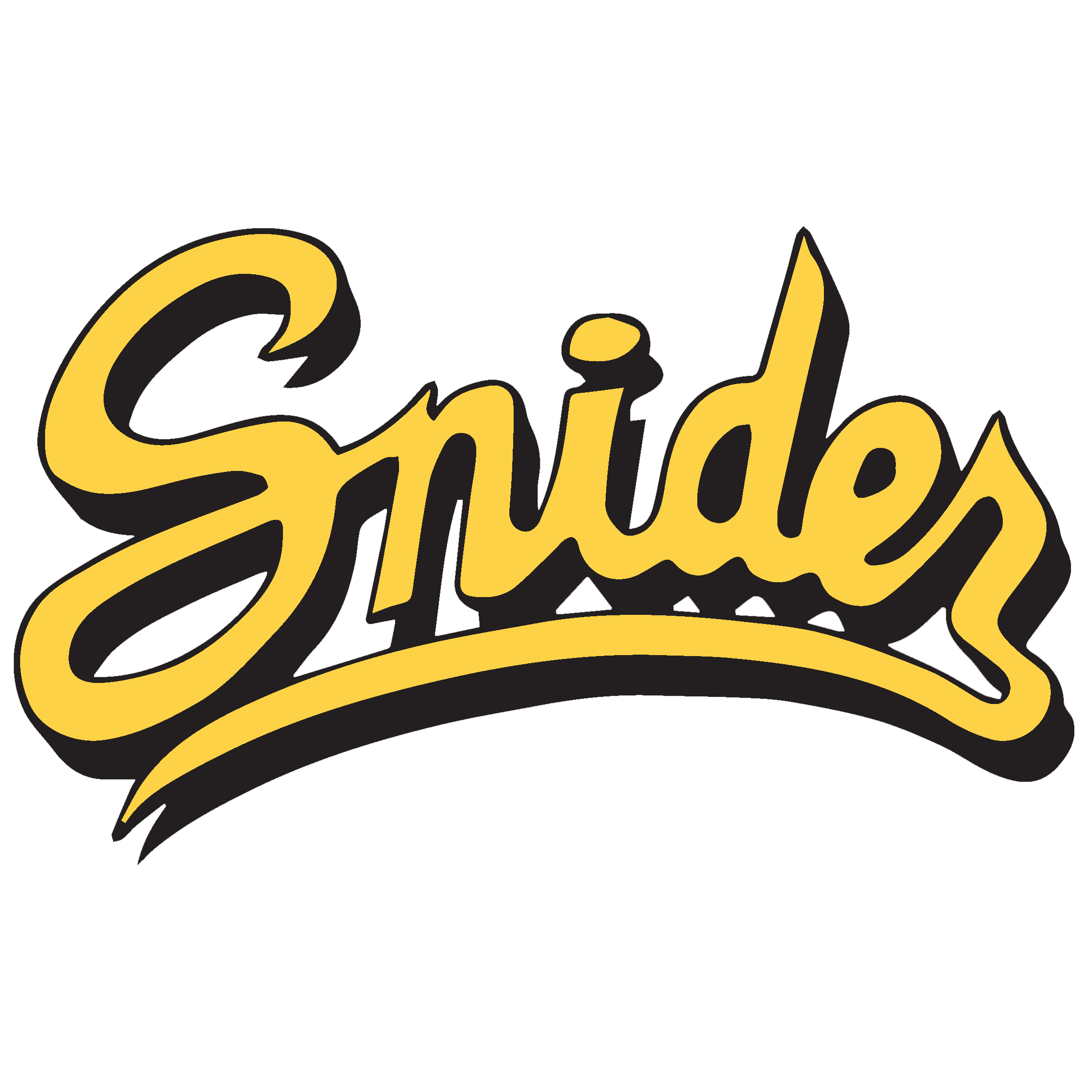 Fort Wayne Snider
